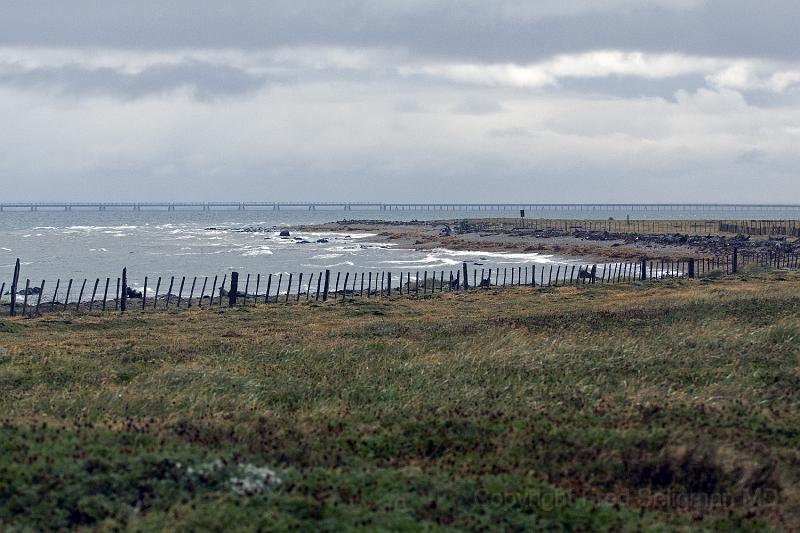 20071214 112231 D200 3900x2600.jpg - Otway Sound, Punta Arenas